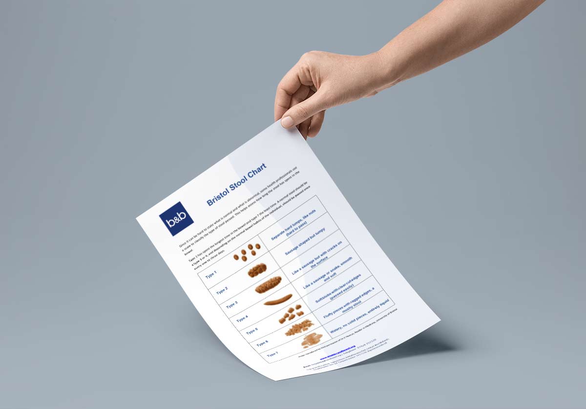 Bristol Stool Chart Download