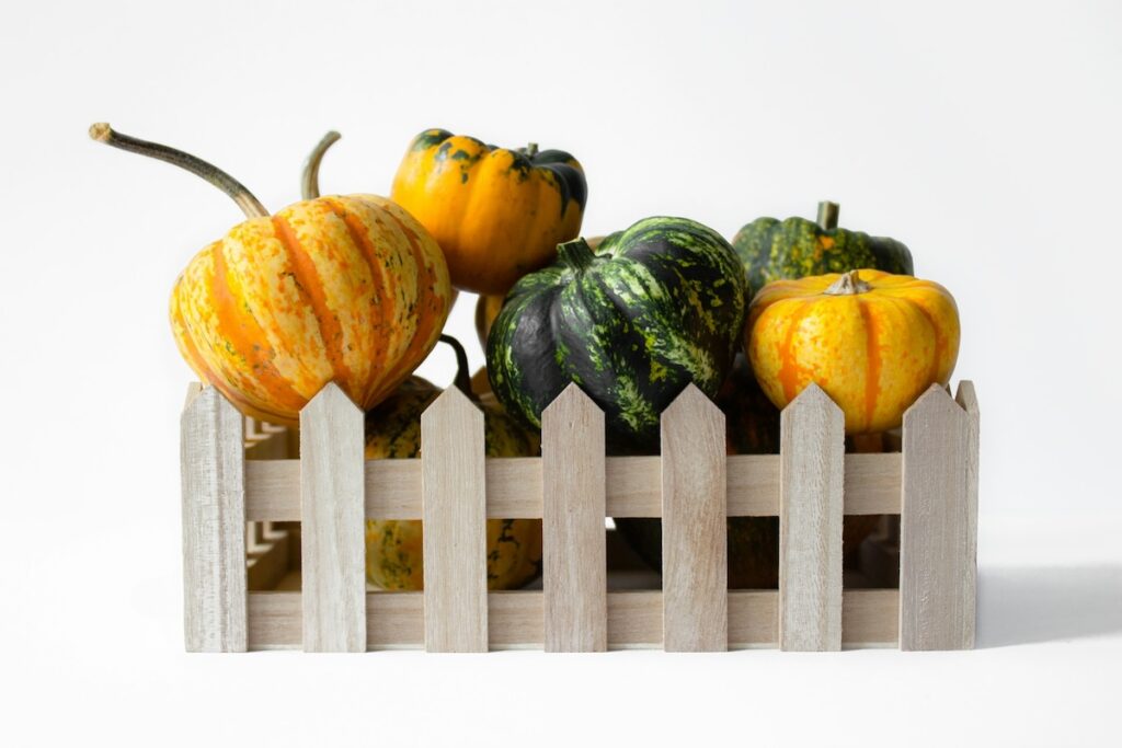 Mixed pumpkins